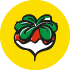 icon box image